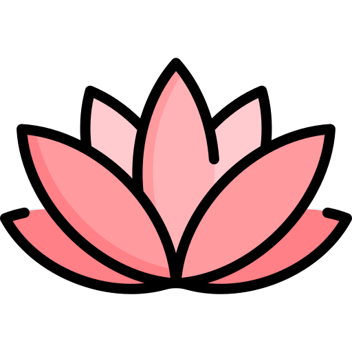 a lotus flower